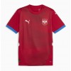 Nogometni Dres Srbija Domaći Euro 2024